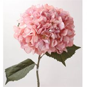 Gisela Graham Antique  Giant Hydrangea